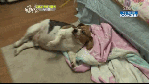 [VIXX/별빛] 오빠 친구들11111111 | 인스티즈