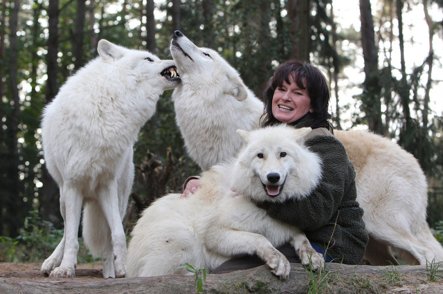 동물 친화력 쩌는 사진작가 | 인스티즈