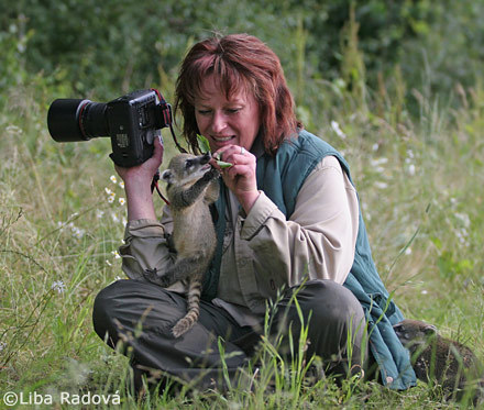 동물 친화력 쩌는 사진작가 | 인스티즈