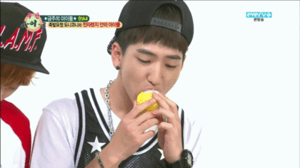 공통점도 주제도 없는 웃긴움짤들.gif (팬아저 포함) | 인스티즈