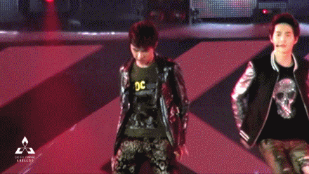 공통점도 주제도 없는 웃긴움짤들.gif (팬아저 포함) | 인스티즈