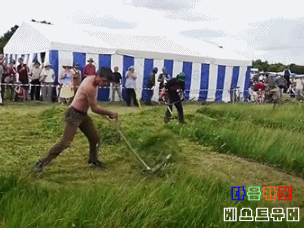 생활의 달인 | 인스티즈