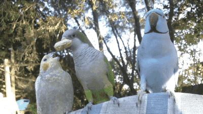 이거봐라~ 나 먹을거 있다! | 인스티즈