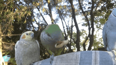 이거봐라~ 나 먹을거 있다! | 인스티즈