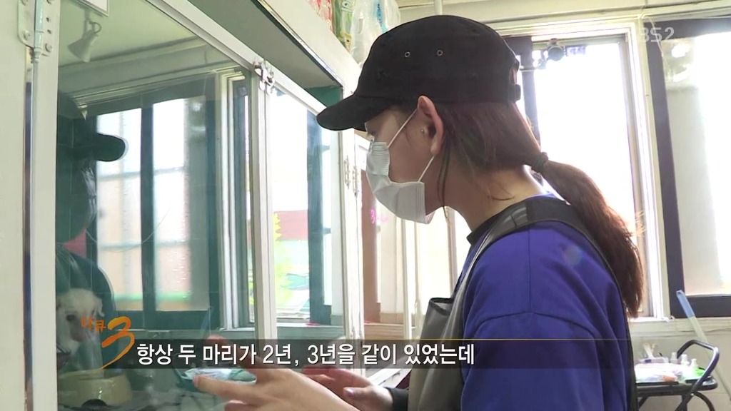 다큐 3일 보면서 안타까웠던 강아지..ㅠㅠ | 인스티즈