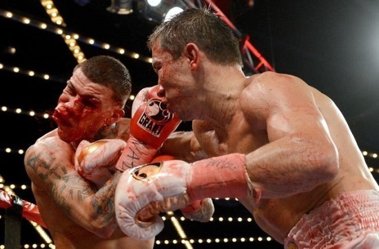 미들급 깡패 골로프킨과 싸운 도전자들의 최후 (혐오주의) | 인스티즈