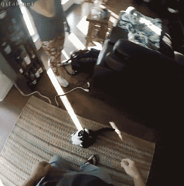 들어라 닝겐!.gif | 인스티즈