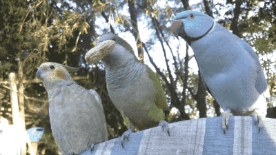 이거봐라~ 나 먹을거 있다! | 인스티즈