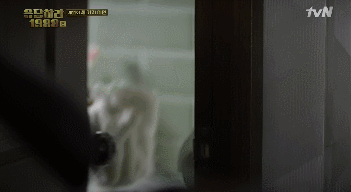 응답하라 1988) 정환(류준열) 같은 남자를 만나야 하는 이유 | 인스티즈