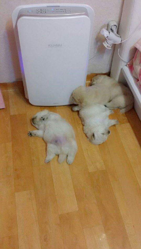 인류가 밝혀내지 못한 정체불명의 공간.jpg | 인스티즈