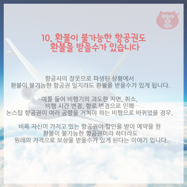 항공사가 숨기는 탑승객의 권리 10가지 (정보) | 인스티즈