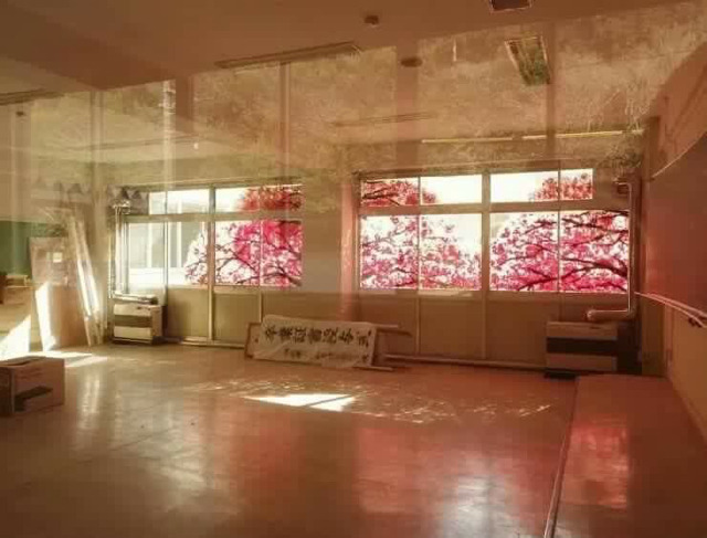 멀리서 보면 예쁜데 가까이서 보면 소름(혐오주의) | 인스티즈