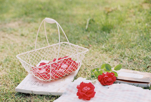그런 말에도 멍이 들던 사람 두 사람이 있었네 | 인스티즈
