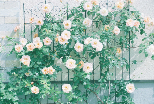 그런 말에도 멍이 들던 사람 두 사람이 있었네 | 인스티즈