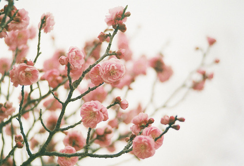 그런 말에도 멍이 들던 사람 두 사람이 있었네 | 인스티즈