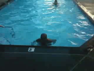 운동선수 하체 힘 | 인스티즈