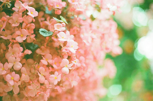 그런 말에도 멍이 들던 사람 두 사람이 있었네 | 인스티즈