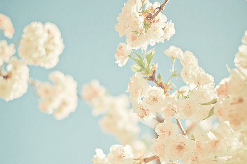 그런 말에도 멍이 들던 사람 두 사람이 있었네 | 인스티즈