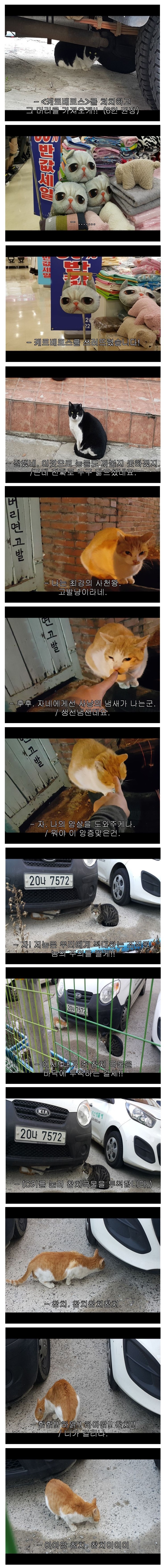 이사를 갔으면 길고양이 조직에게 인사를 해야 한다 | 인스티즈