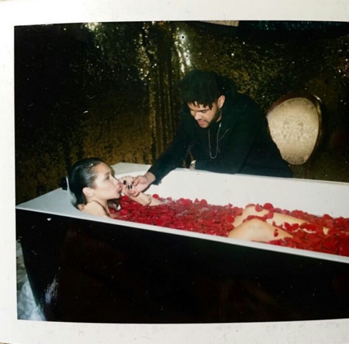 해외 스타의 일상사진 (feat. 벨라 하디드) ㅇㅃㅈㅇ | 인스티즈