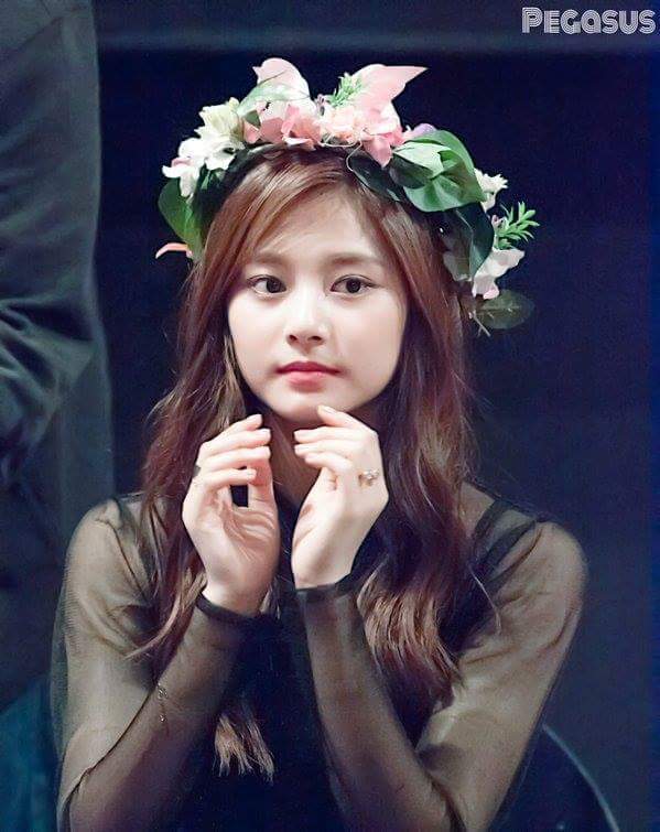 트와이스 쯔위 | 인스티즈