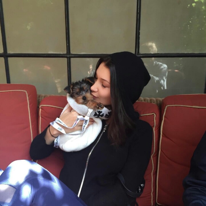 해외 스타의 일상사진 (feat. 벨라 하디드) ㅇㅃㅈㅇ | 인스티즈