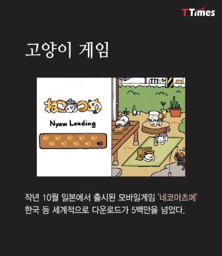 고양이 | 인스티즈