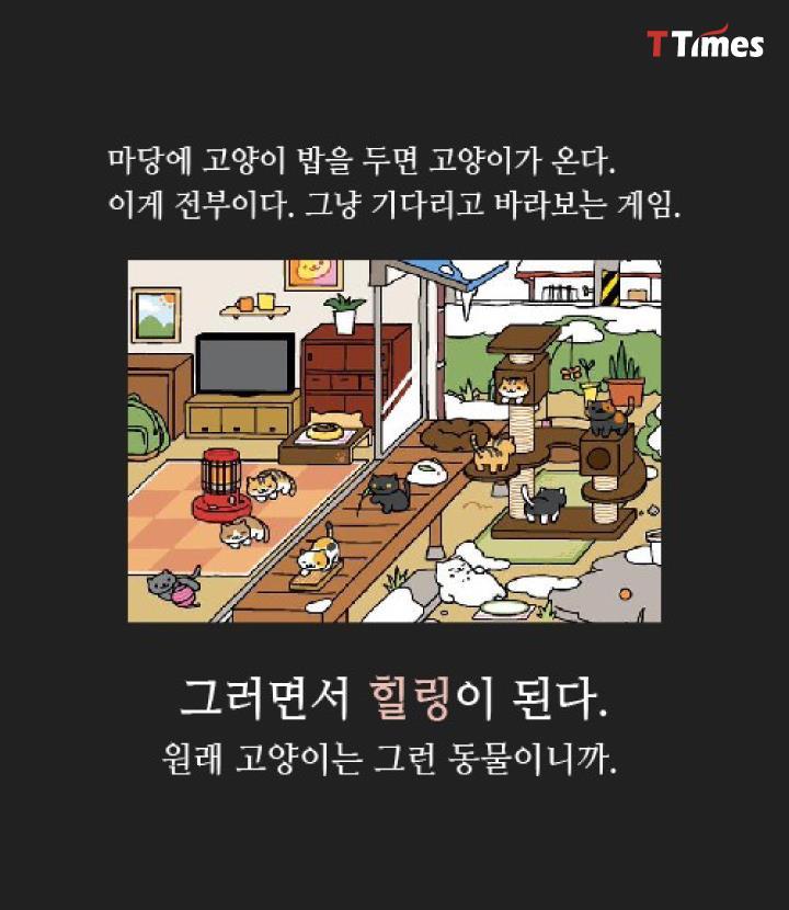 고양이 | 인스티즈