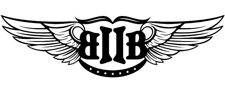 각각의 특성이 보이는 아이돌 그룹의 로고들(최신ver) | 인스티즈