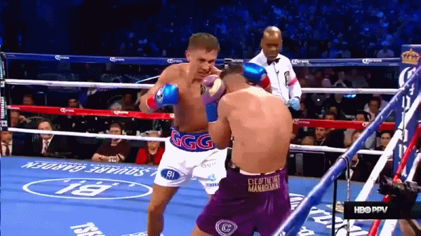 자기 턱을 내주고도 카운터 쳐서 역 KO를 따내는 공략불가능 복싱계 끝판왕 본좌 골로프킨.GIF | 인스티즈