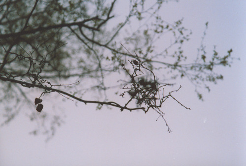 얼어붙은 호수는 아무것도 비추지 않는다 | 인스티즈