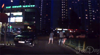 흔한 불곰국의 위엄.swf | 인스티즈