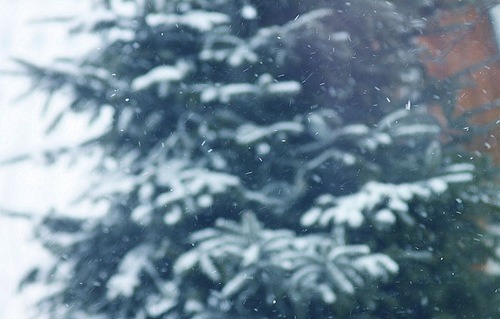 얼어붙은 호수는 아무것도 비추지 않는다 | 인스티즈