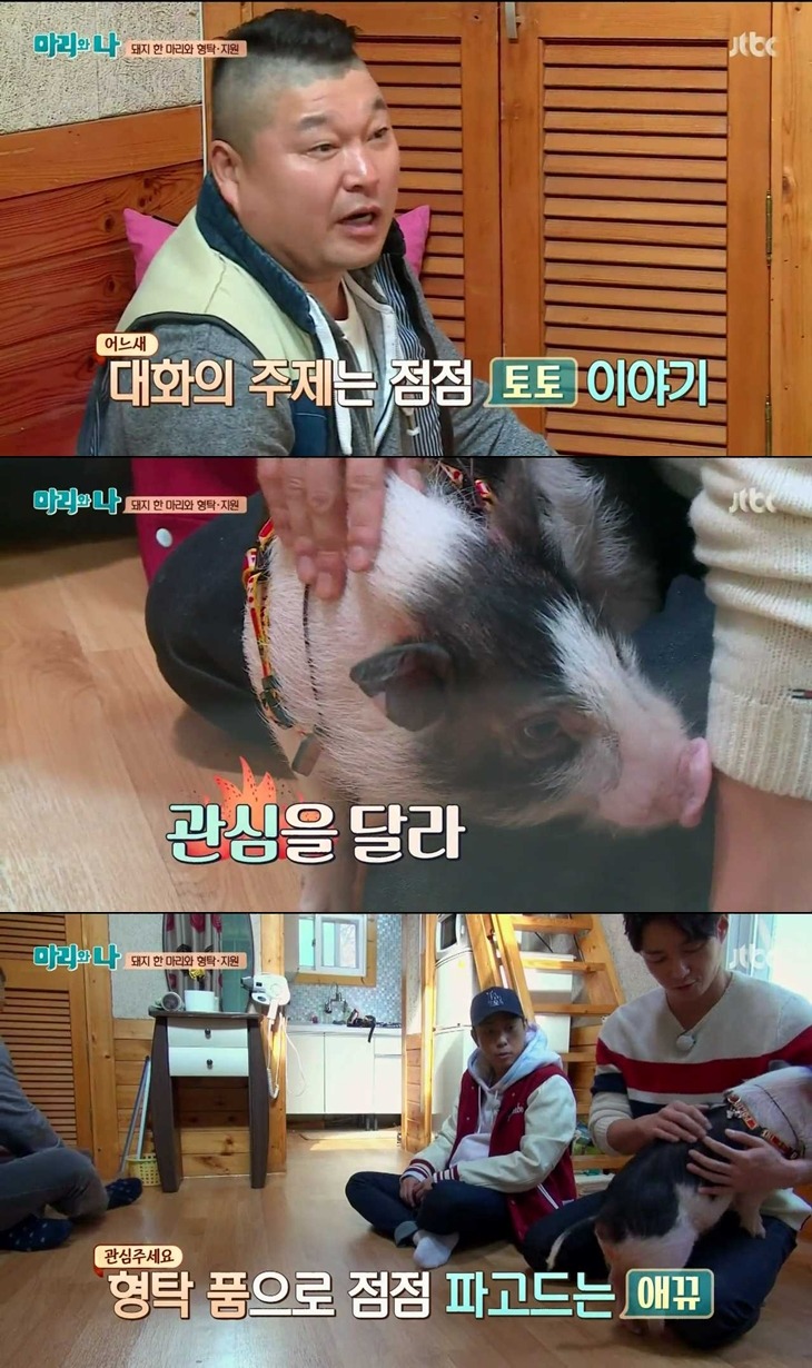 [마리와나] 돼지 입덕했다 빠르게 탈덕하는 심형탁ㅋㅋ.jpg | 인스티즈