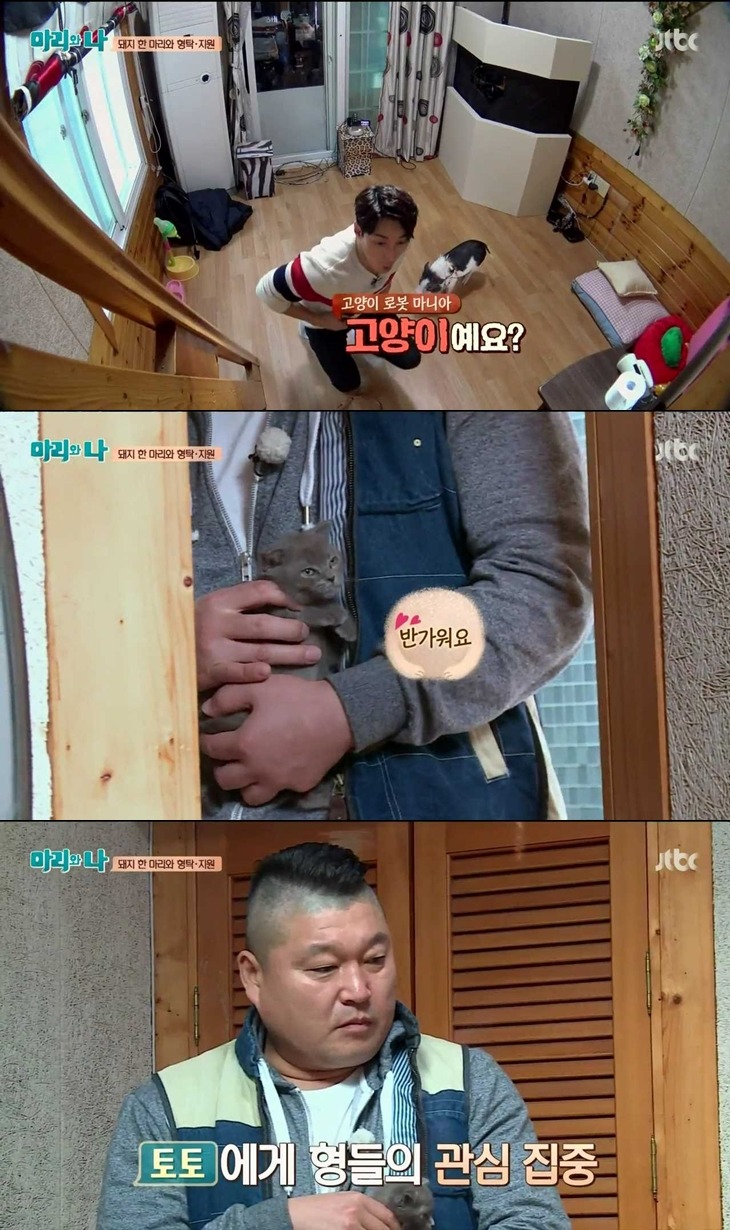 [마리와나] 돼지 입덕했다 빠르게 탈덕하는 심형탁ㅋㅋ.jpg | 인스티즈