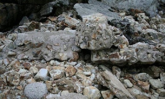 1초 안에 못 찾으면 죽은 목숨이라는 사진입니다 | 인스티즈