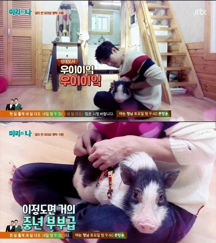 [마리와나] 돼지 입덕했다 빠르게 탈덕하는 심형탁ㅋㅋ.jpg | 인스티즈