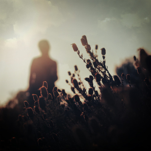 얼어붙은 호수는 아무것도 비추지 않는다 | 인스티즈