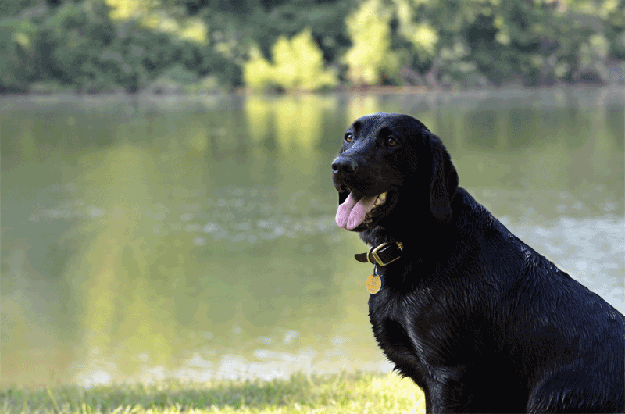 내향적(introversion)인 사람들.jpg | 인스티즈