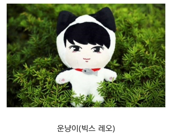 요즘 아이돌 팬덤내 유행하는 문화 (인형) | 인스티즈