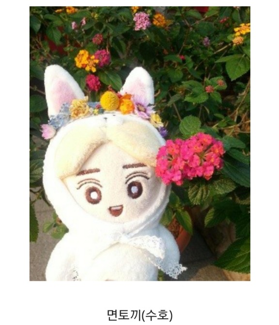 요즘 아이돌 팬덤내 유행하는 문화 (인형) | 인스티즈