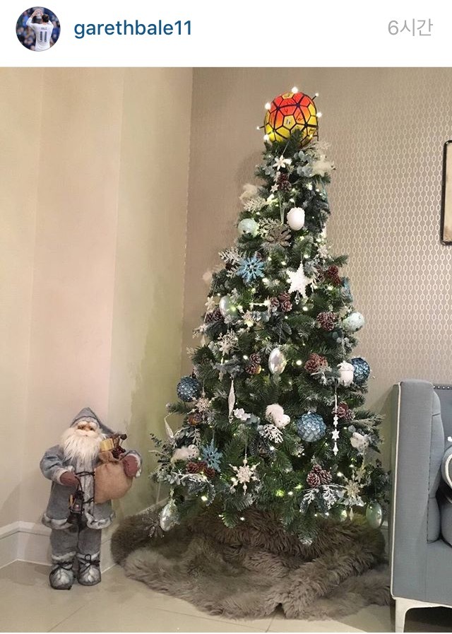 베일 집 크리스마스 트리 | 인스티즈