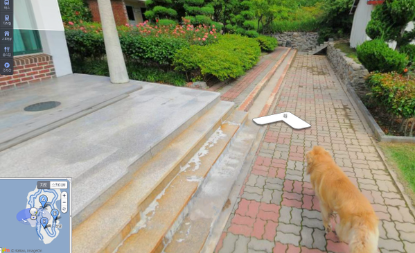 로드뷰촬영 쫓아다니는 울릉도 죽도 강아지.jpg | 인스티즈