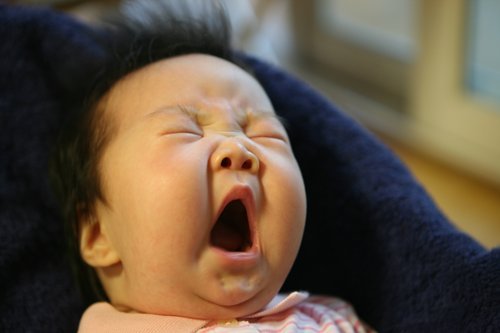 졸릴 때 보면 안 되는 게시물 .jpg | 인스티즈