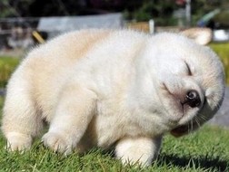 졸릴 때 보면 안 되는 게시물 .jpg | 인스티즈