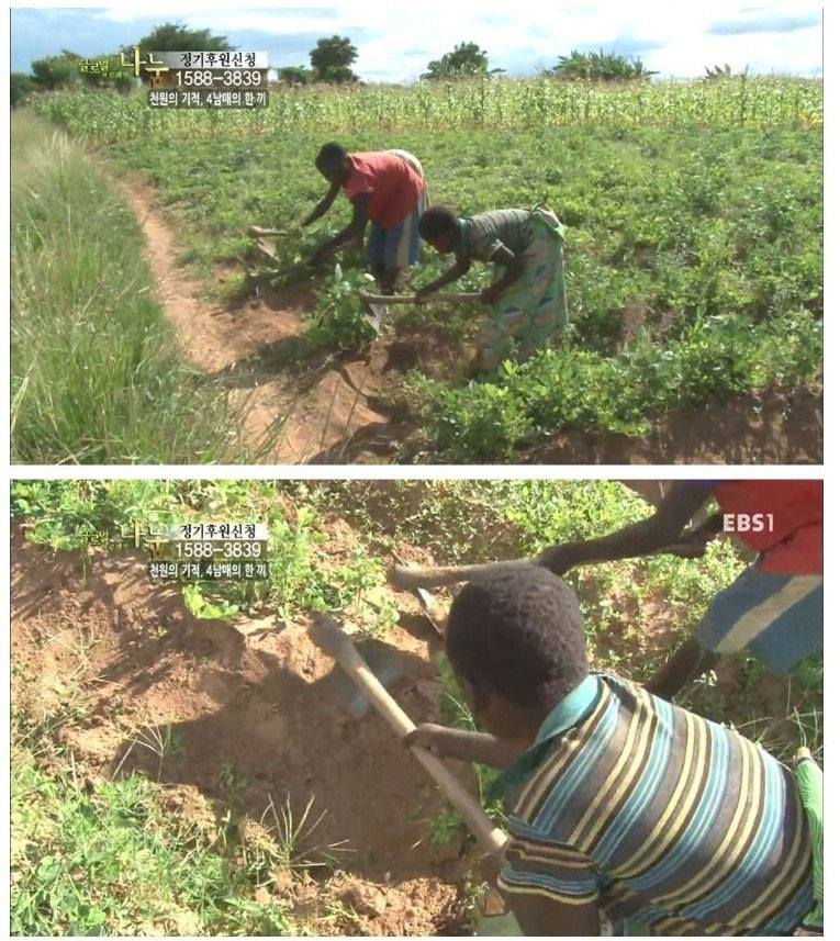 아프리카 청춘이다....jpg | 인스티즈