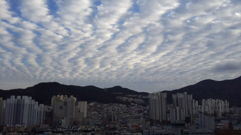 지진운이 보였던 2주전 부산(+김해) | 인스티즈