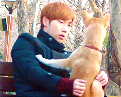 어디선가 한번쯤 본 적 있는 짤 & 팬아저짤의 비하인드스토리.gif (통합.ver) | 인스티즈