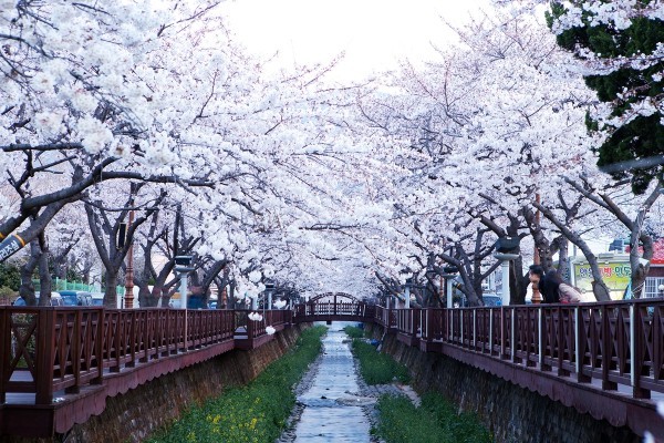 대도시지만 많은사람들이 어딨는지 잘모르는 도시 | 인스티즈