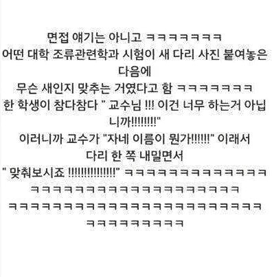 조류과 시험 레전드 | 인스티즈